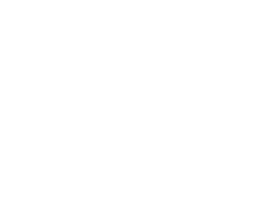 bunge bunge