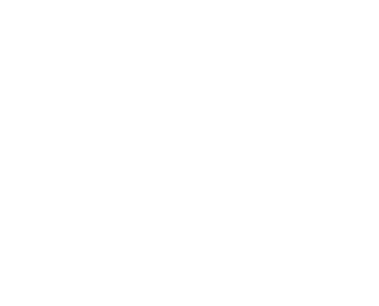 toshiro toshiro